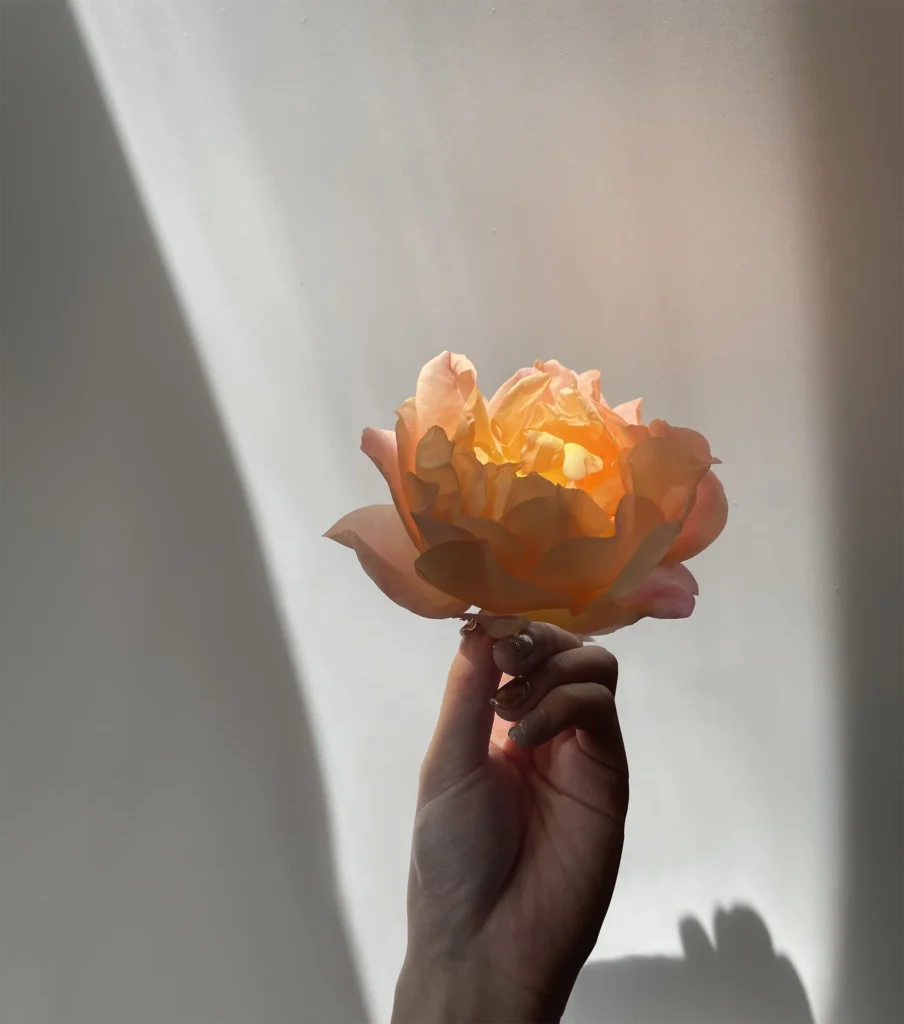 YEEVIDA branding – curated lifestyle accessories and soft light moment with press-on nails